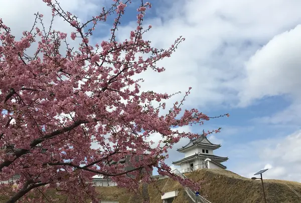 宇都宮城址公園の写真・動画_image_170107