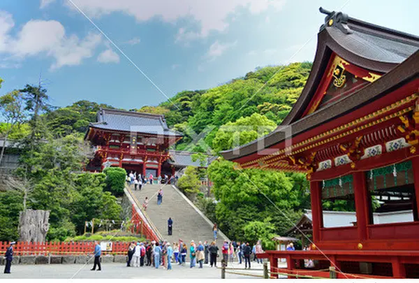 鶴岡八幡宮