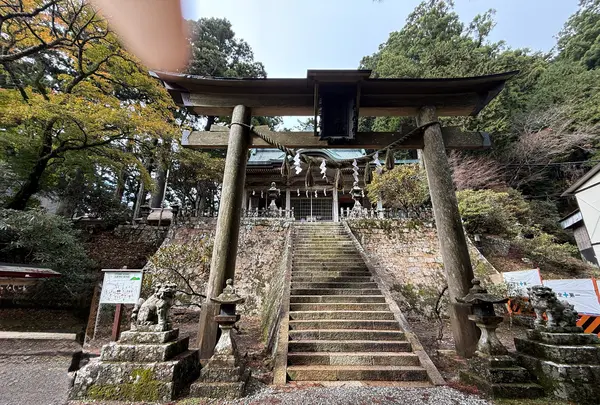 玉置神社三ノ鳥居の写真・動画_image_1715869