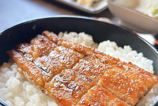 うなぎ料理 かね春の写真・動画_image_1716586