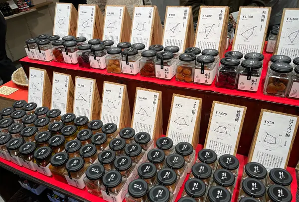 梅と星の写真・動画_image_1718952