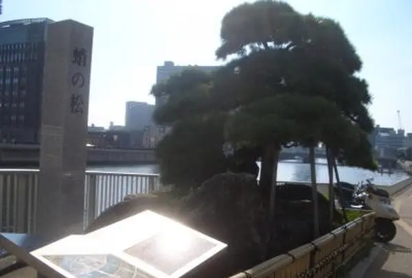 蛸の松
