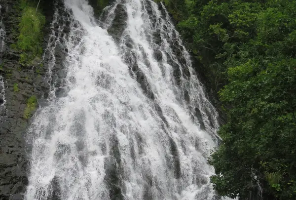 オシンコシンの滝の写真・動画_image_174299