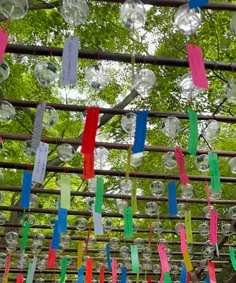 如意輪寺 （かえる寺）の写真・動画_image_1746983