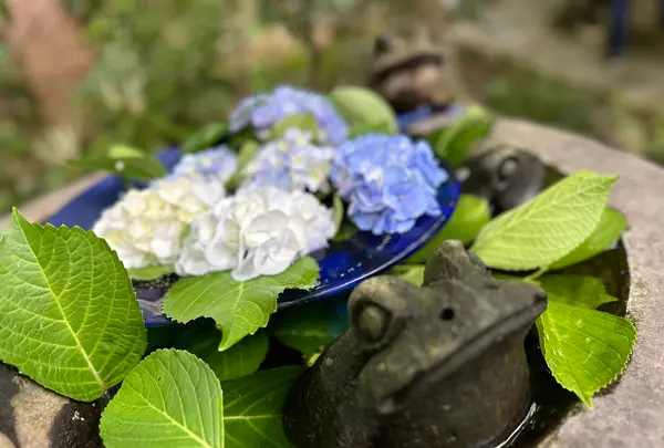 如意輪寺 （かえる寺）の写真・動画_image_1746985