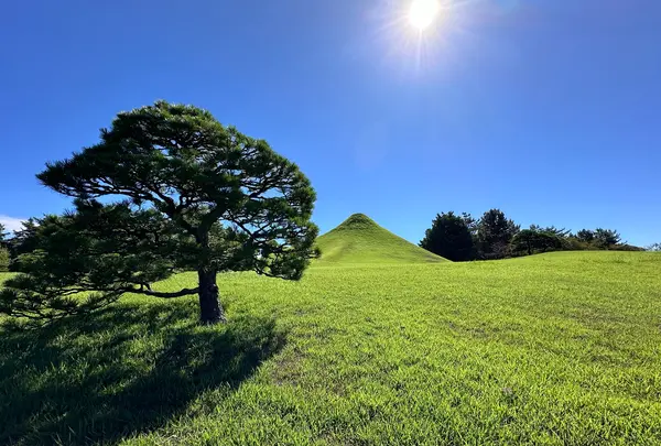 水前寺成趣園の写真・動画_image_1746988