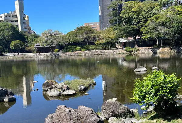 水前寺成趣園の写真・動画_image_1746989