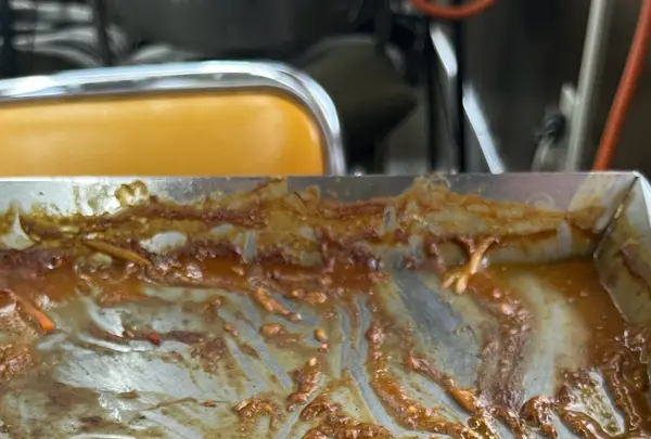 かめやま食堂の写真・動画_image_1750070