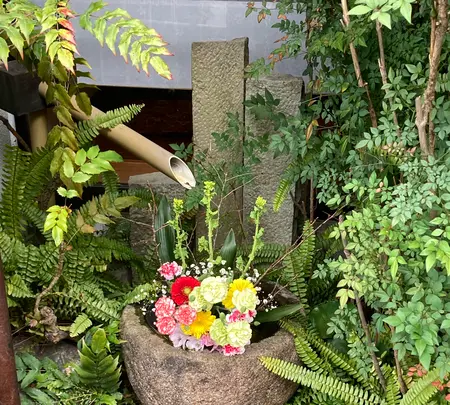 ほづみ亭の写真・動画_image_1758261