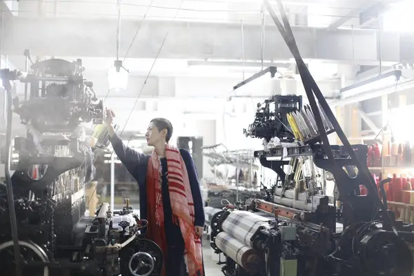 tamaki niime Shop&Labの写真・動画_image_1763708