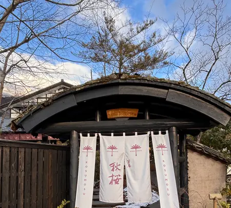 由布院 草庵秋桜の写真・動画_image_1764825