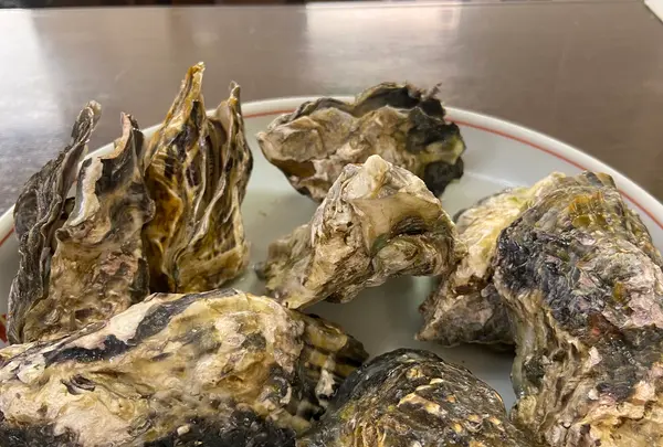 海鮮料理 磯の写真・動画_image_1765749