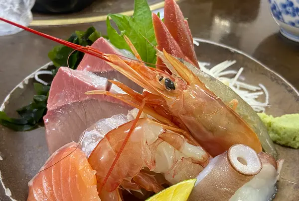 海鮮料理 磯の写真・動画_image_1765752
