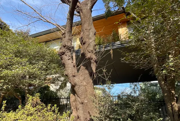 香kaguwashiの写真・動画_image_1781445