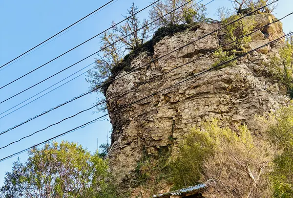 立岩の写真・動画_image_1783334