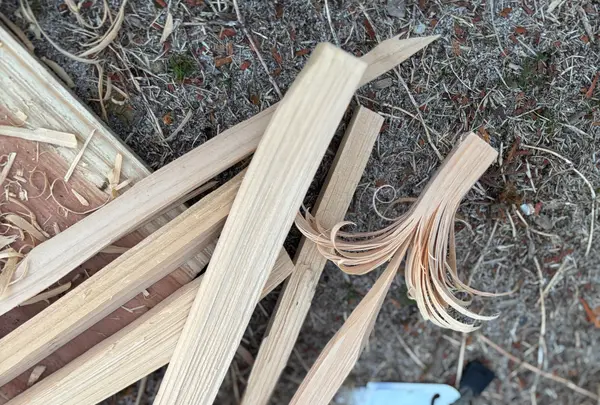 農園リゾート THE FARMの写真・動画_image_1791725