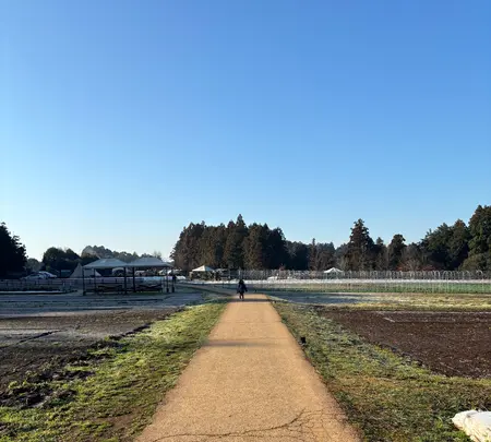 農園リゾート THE FARMの写真・動画_image_1791726