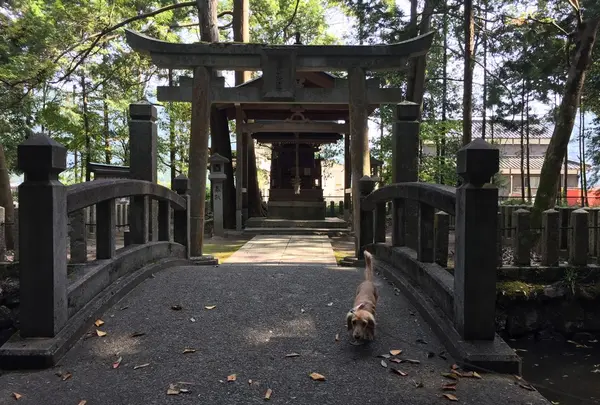 市杵島姫神社