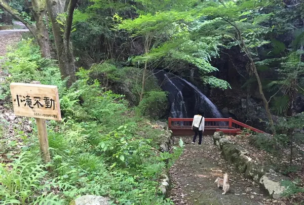 小滝不動の写真・動画_image_179225
