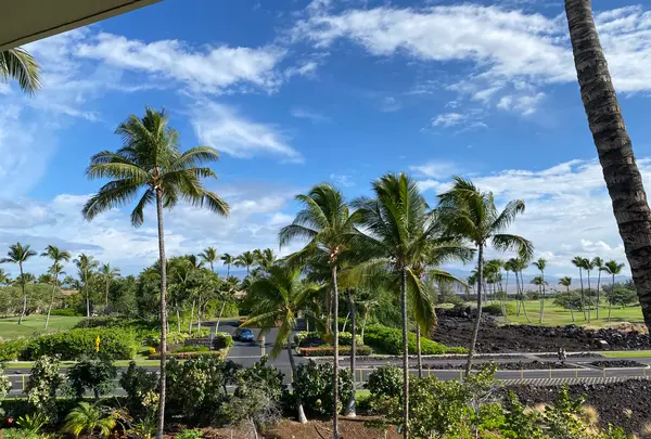 HILTON WAIKOLOA VILLAGE（ワイコロア・ビレッジ）の写真・動画_image_1796021