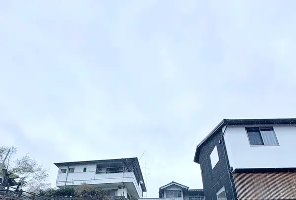 ろまん亭の写真・動画_image_1805633