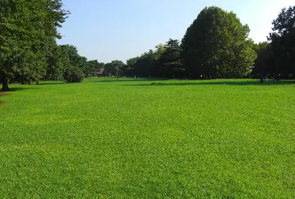 都立野川公園