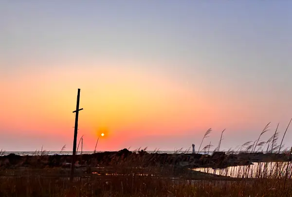 七浦海岸の写真・動画_image_1813679