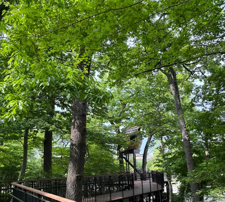 馬事公苑の写真・動画_image_1814520