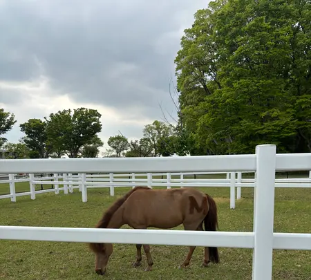 馬事公苑の写真・動画_image_1814534