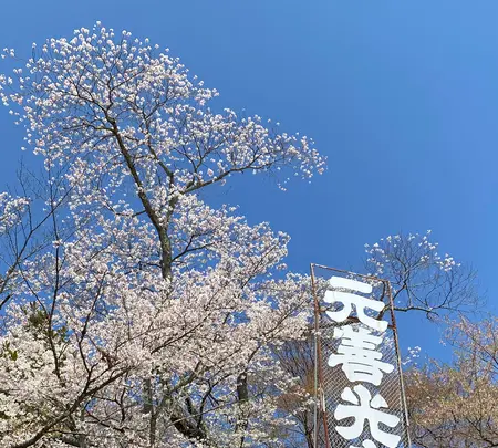 元善光寺の写真・動画_image_1814800