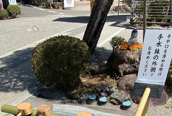 元善光寺の写真・動画_image_1814802