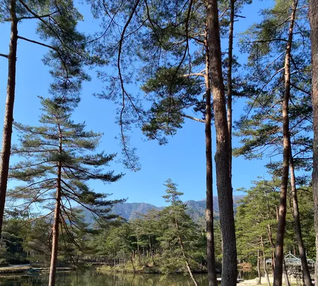 おおぐて湖畔 しらさぎ荘の写真・動画_image_1814806