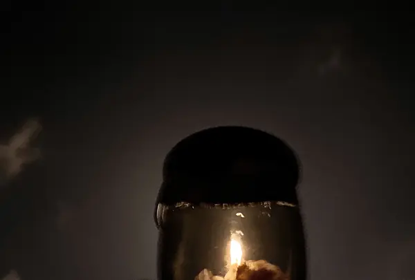 おおぐて湖畔 しらさぎ荘の写真・動画_image_1814808