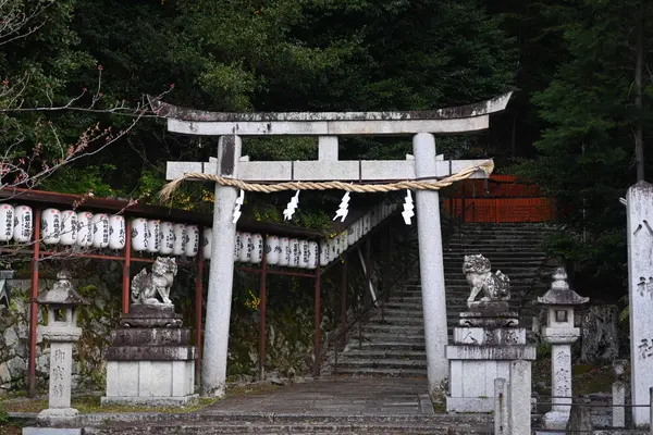八神社の写真・動画_image_1815282
