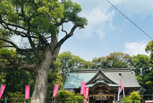 大江神大神宮（肥前山口・江北の杜）の写真・動画_image_1824624