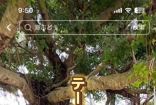〒901-0362 沖縄県糸満市真栄里１９３１の写真・動画_image_1848712