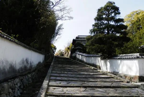 勘定場の坂の写真・動画_image_185436