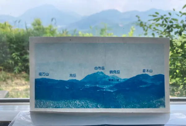 森のSobaCafe ゆふそらの写真・動画_image_1864006