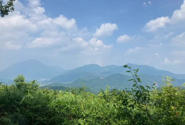 森のSobaCafe ゆふそらの写真・動画_image_1864007