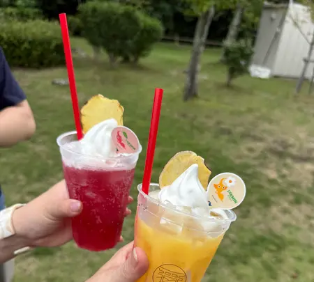 ピクミンテラス in 宮島SAの写真・動画_image_1879050