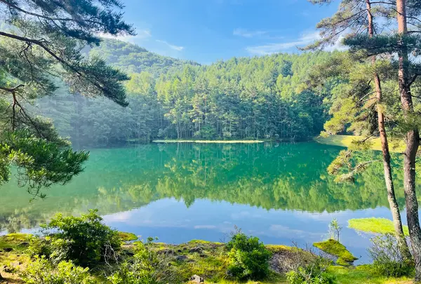 御射鹿池の写真・動画_image_1880182