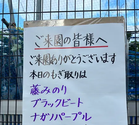 山崎ブドウ園の写真・動画_image_1880875