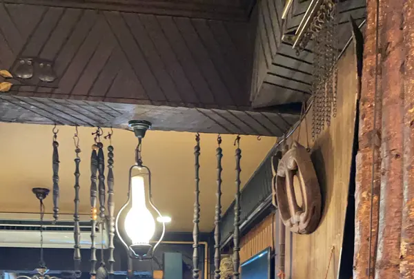 エーデルワイスの写真・動画_image_1881060