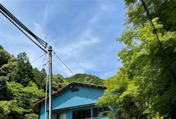 GREEN ROOMの写真・動画_image_1882693