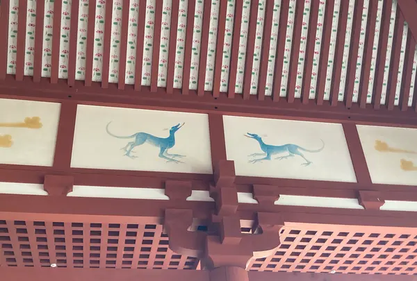 平城宮跡 第一次大極殿の写真・動画_image_1891681