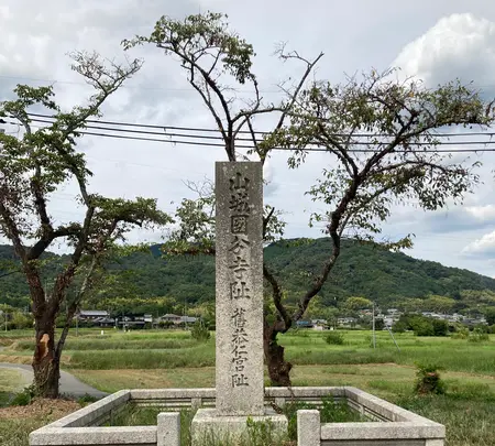 恭仁宮大極殿跡 (山城国分寺金堂跡)の写真・動画_image_1891690