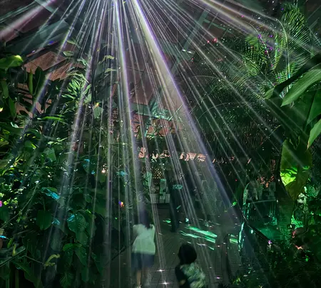 京都府立植物園の写真・動画_image_1905423