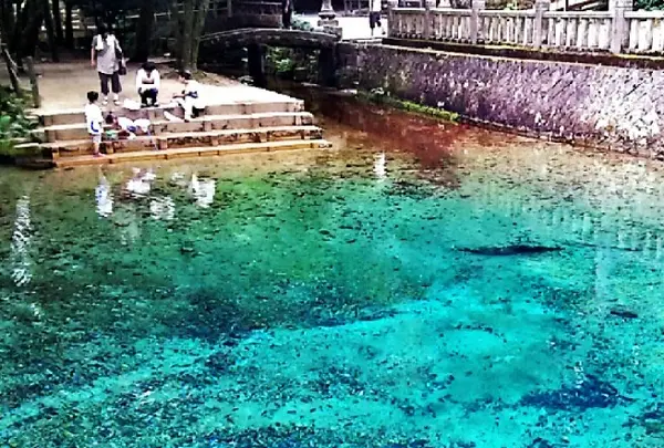 別府弁天池の写真・動画_image_190965