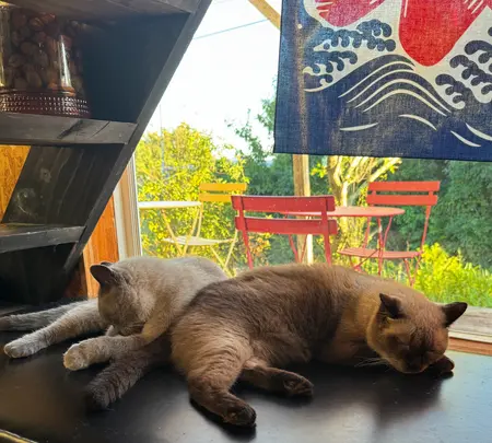 ＣａｆｅＯＬＥＧＡＬＥの写真・動画_image_1914358