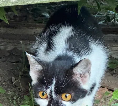 佐久島の写真・動画_image_1914369